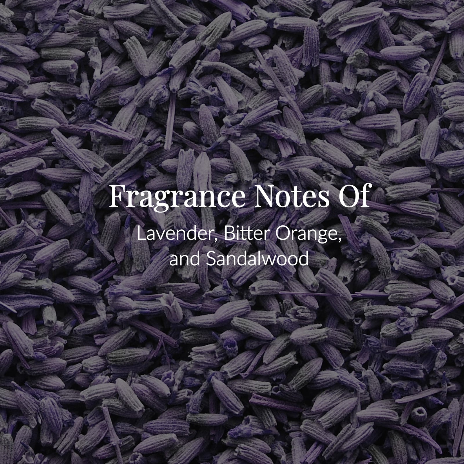 A closeup of dried lavender buds with the text: Lavender Body Lotion – Fragrance Notes of Lavender, Bitter Orange, and Sandalwood written in white letters across the center, evoking the soothing essence of a moisturizing lotion infused with essential oils. - image 4