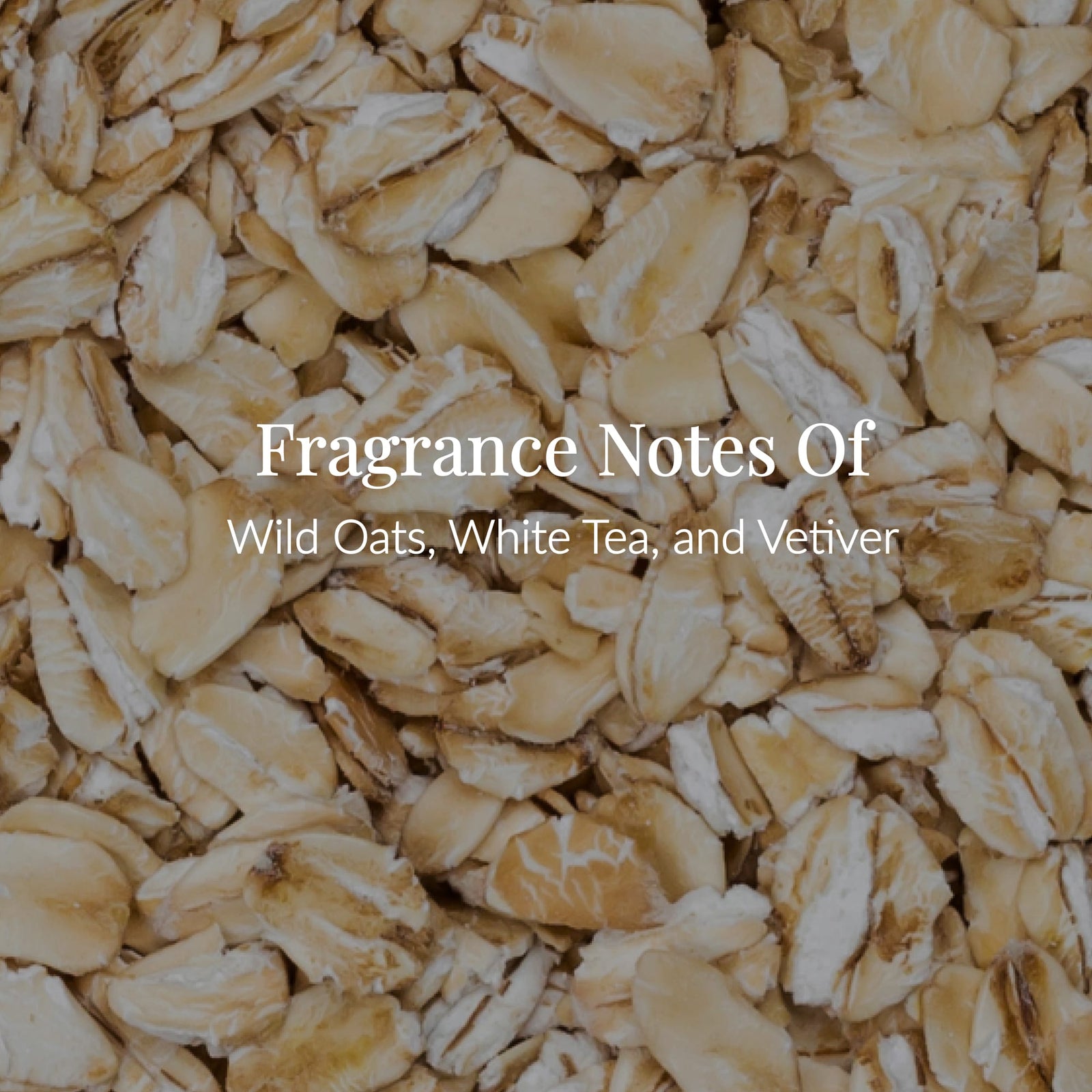 A close-up of oat flakes with the text “Fragrance Notes of Wild Oats, White Tea, and Vetiver” in white font, capturing the nourishing essence of Oat Milk Body Lotion. - image 3