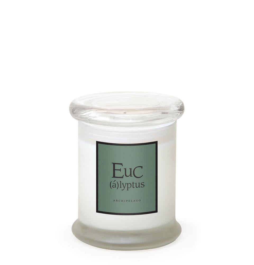 Eucalyptus Frosted Jar Candle