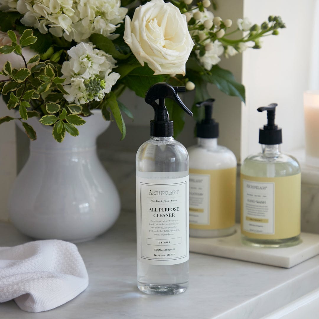 All Purpose Cleaner - image 2