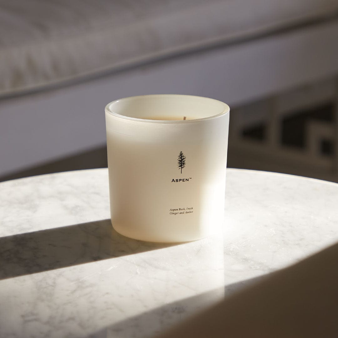 Aspen Luxe Candle - image 4