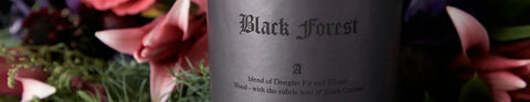 Black Forest Collection
