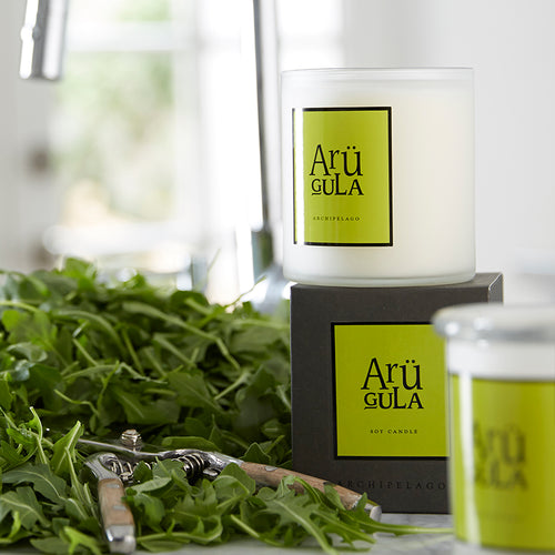 AB Home Collection Arugula Boxed Candle