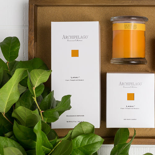 Excursion Collection, Destination Inspired Candles & Diffusers