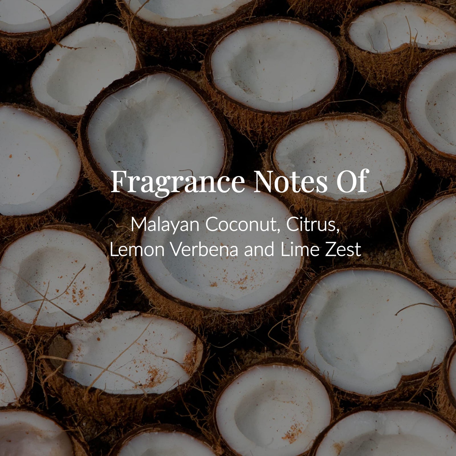 Halved coconuts with white interiors and brown shells are arranged closely. Text over the image reads: Coconut Body Lotion features fragrance notes of Malayan coconut, citrus, lemon verbena, and lime zest—enriched with nourishing coconut oil and jojoba esters for a luxurious body lotion experience.4