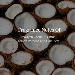 Halved coconuts with white interiors and brown shells are arranged closely. Text over the image reads: Coconut Body Lotion features fragrance notes of Malayan coconut, citrus, lemon verbena, and lime zest—enriched with nourishing coconut oil and jojoba esters for a luxurious body lotion experience.4