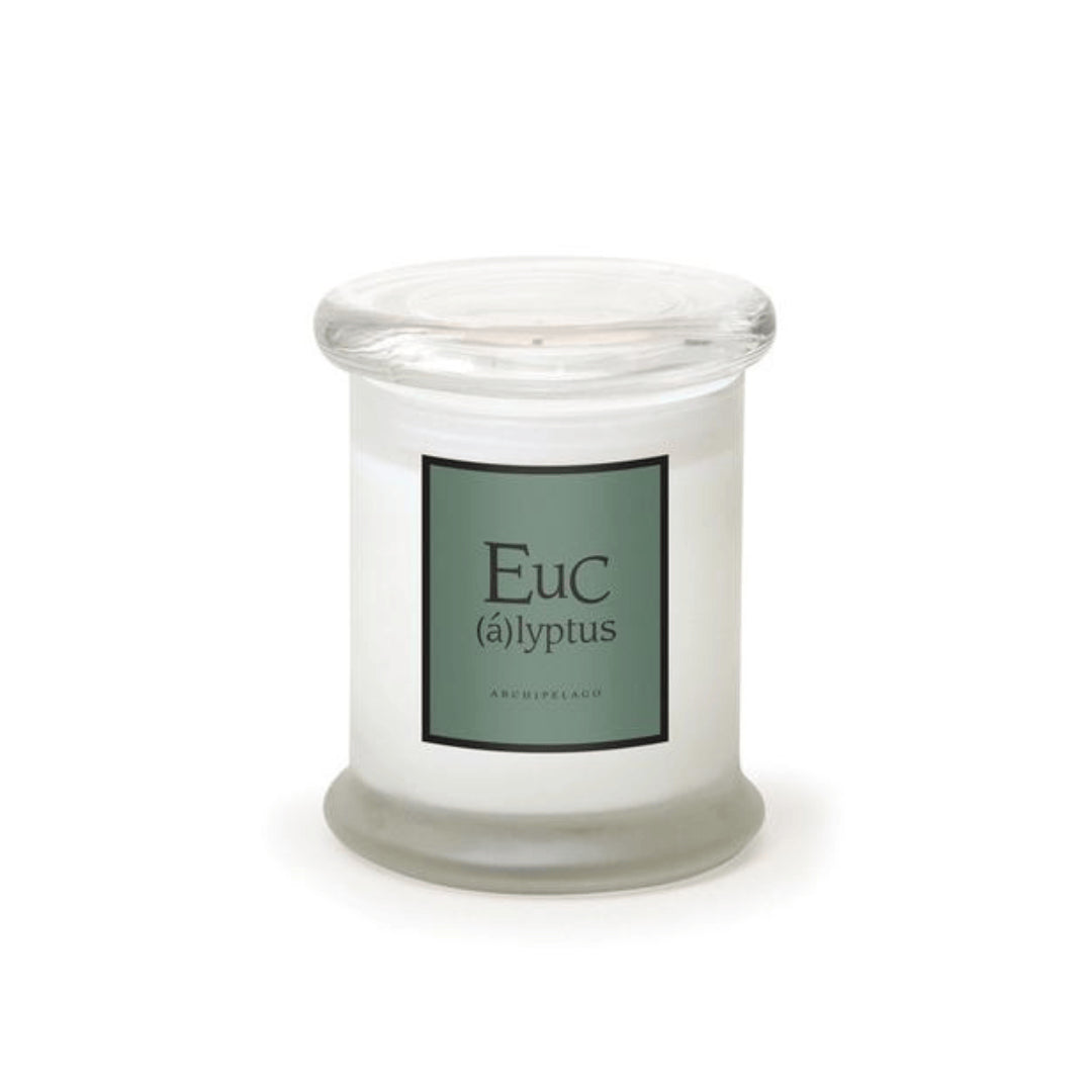 The Eucalyptus Frosted Jar Candle is a white candle in clear glass with a glass lid. Its green label reads "Eucalyptus" with Archipelago below. Crafted from premium wax, it offers an energizing scent for any space.1