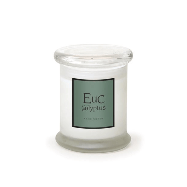 The Eucalyptus Frosted Jar Candle is a white candle in clear glass with a glass lid. Its green label reads "Eucalyptus" with Archipelago below. Crafted from premium wax, it offers an energizing scent for any space.
