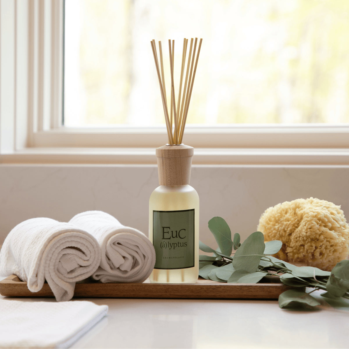 Eucalyptus Reed Diffuser Archipelago