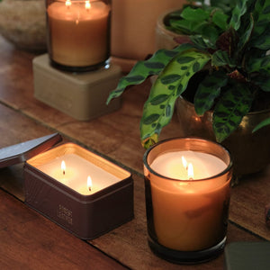 Forest Leather Boxed Candle Archipelago Botanicals - image 4