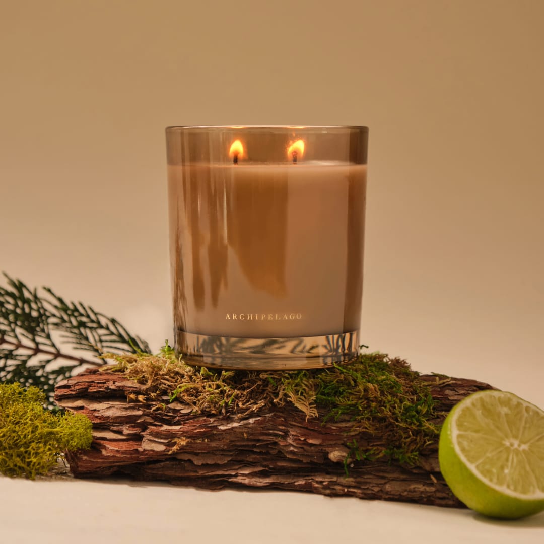 Forest Leather Boxed Candle Archipelago Botanicals - image 2