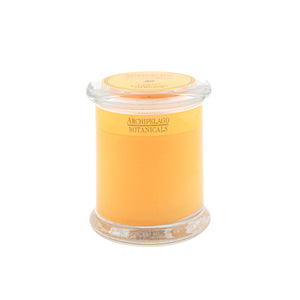 The Lanai Jar Candle features orange wax in a clear cylindrical glass jar with a matching orange lid, inspired by pineapple, ginger, and mandarin—an inviting Hawaiian scent from Archipelago Botanicals.1