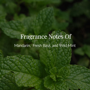 Close-up of mint leaves with text overlay: Notes of Mandarin, Fresh Basil, and Wild Mint in white font. Inspired by aromatherapy, this lush green foliage background evokes the refreshing essence of Morning Mint Body Lotion, crafted with pure essential oils.4