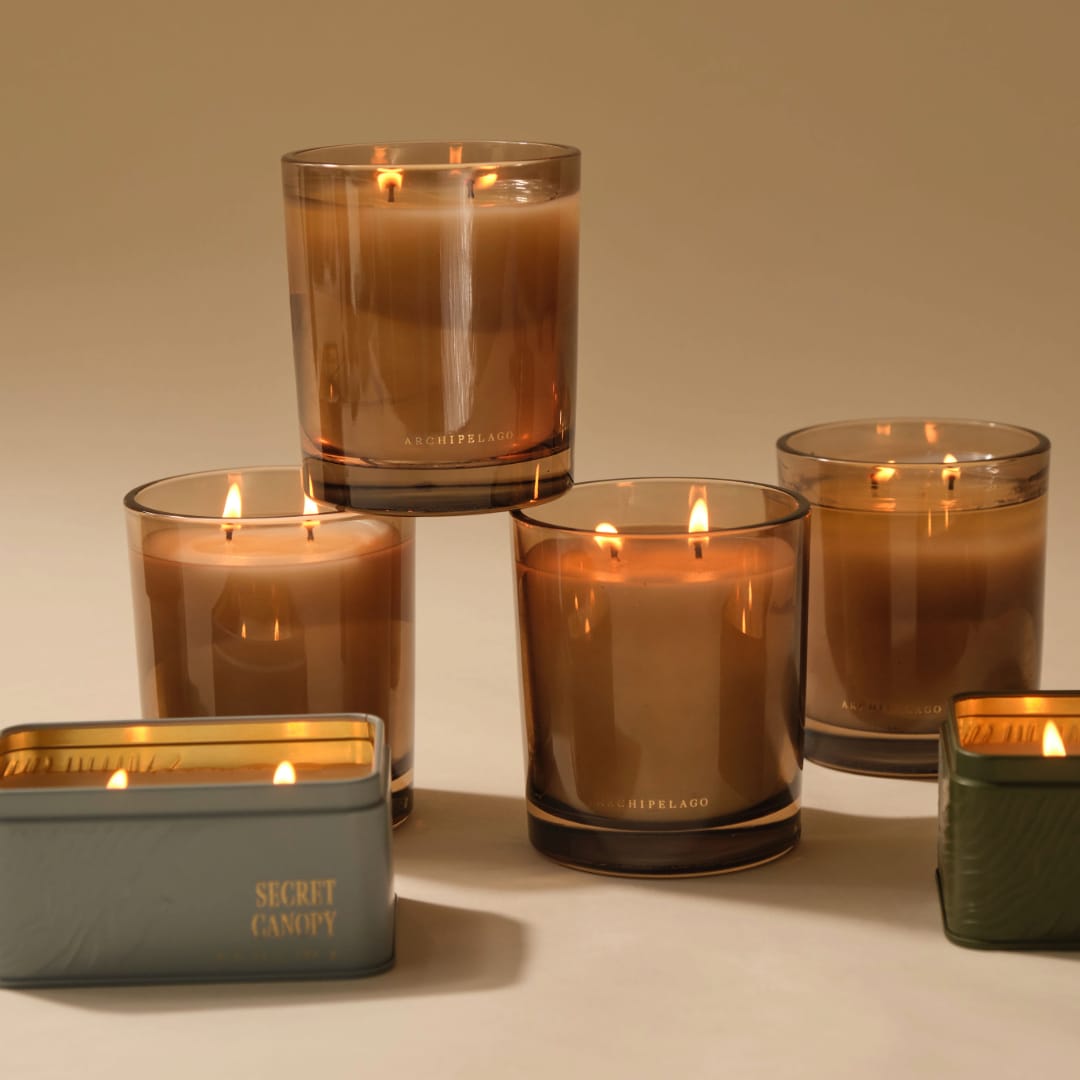 Secret Canopy Boxed Candle Archipelago Botanicals - image 4