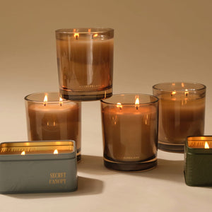 Secret Canopy Boxed Candle Archipelago Botanicals - image 4
