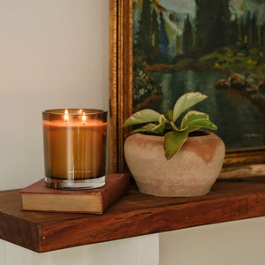 Secret Canopy Boxed Candle Archipelago Botanicals - image 3