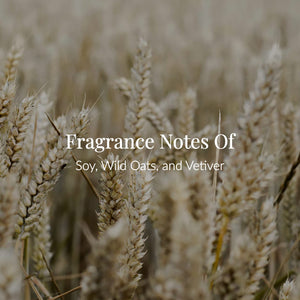 Close-up of golden oat stalks in a field with the text, Fragrance Notes of Soy, Wild Oats, and Vetiver, overlaid in white letters—perfect inspiration for our cruelty-free Soy Milk Body Lotion.3