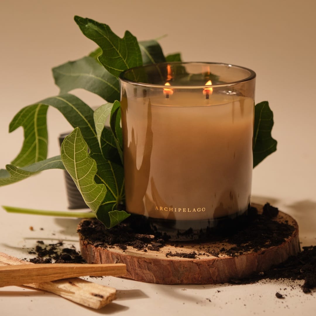 Wild Terra Boxed Candle Archipelago Botanicals - image 2