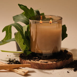 Wild Terra Boxed Candle Archipelago Botanicals - image 2