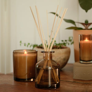 Wild Terra Reed Diffuser Archipelago Botanicals - image 2