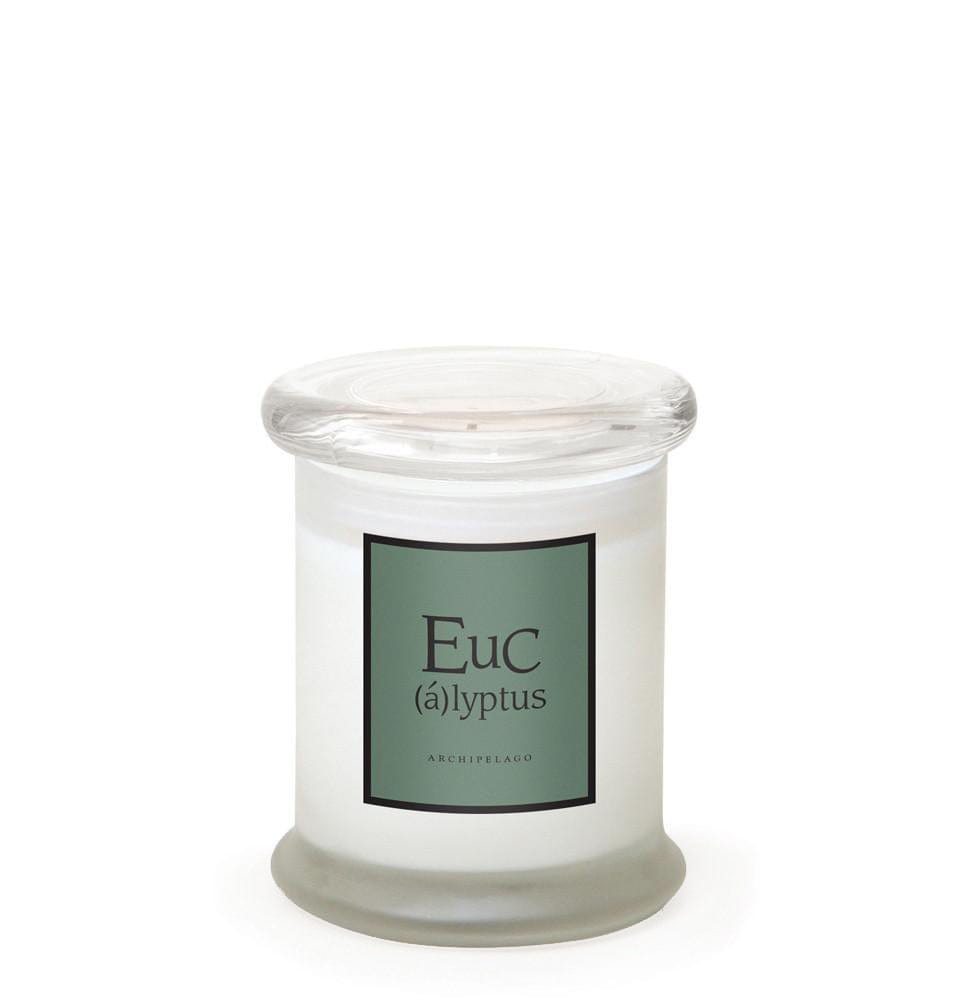 Eucalyptus Frosted Jar Candle Archipelago Botanicals