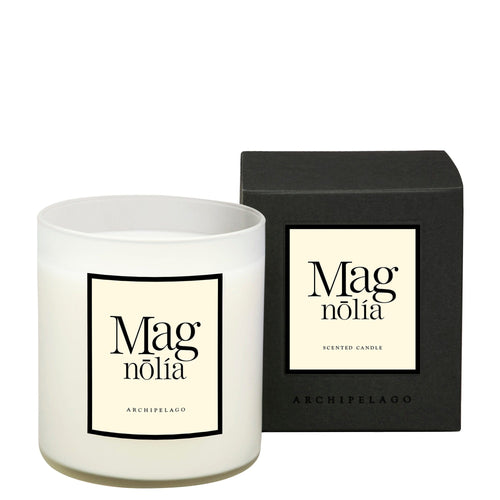 Magnolia Frosted Jar Candle Archipelago Botanicals